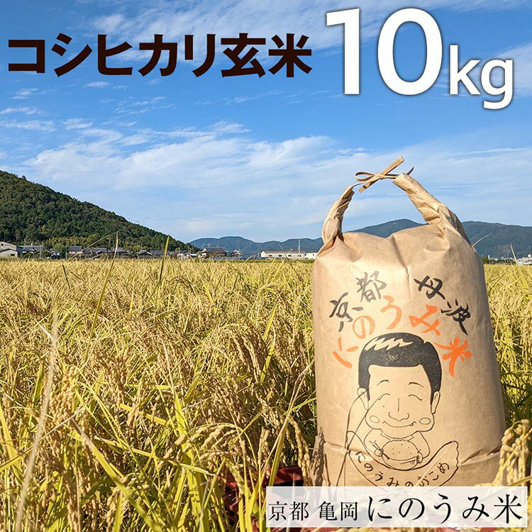 【令和6年産先行予約】米 コシヒカリ 玄米 10kg〈アグリにのうみ〉京都・亀岡産《令和6年産》 京都丹波産※北海道・沖縄・離島への配送不可※2024年10月中旬頃より順次発送予定