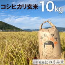 【ふるさと納税】【令和6年産先行予約】米 コシヒカリ 玄米 10kg〈アグリにのうみ〉京都・亀岡産《令和6年産》 京都丹波産※北海道・沖縄・離島への配送不可※2024年10月中旬頃より順次発送予定