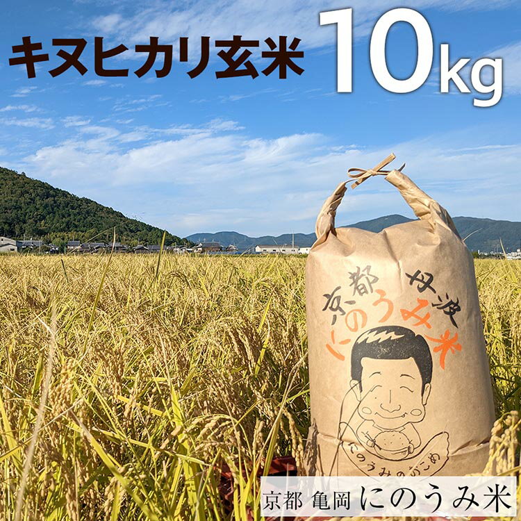 【ふるさと納税】【令和6年産先行予約】米 キヌヒカリ 玄米 10kg〈アグリにのうみ〉京都・亀岡産《令和6年産》※北海道・沖縄・離島への配送不可※2024年10月中旬頃より順次発送予定