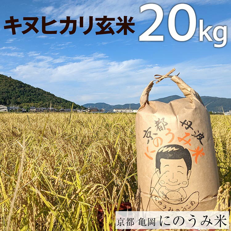 [令和6年産先行予約]米 キヌヒカリ 玄米 20kg[アグリにのうみ]京都・亀岡産[令和6年産]※北海道・沖縄・離島への配送不可※2024年10月中旬頃より順次発送予定