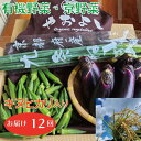 【ふるさと納税】亀岡産 キヌヒカリ 2kg ＆ 野菜詰め合わ
