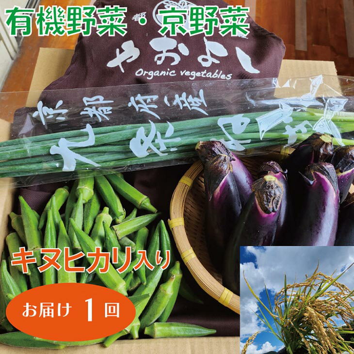 有機野菜・京野菜専門の『京都やおよし』の京都・亀岡地域の契約農家さんで育ったキヌヒカリと野菜を詰め合わせてお届け致します。 京都やおよしでは創業以来「誰が」、「どこで」、「どのように」育てたかが判るお野菜の提供にこだわっています。 そのため、基本的に取引前に農家さんの所に実際に足を運び、自分の目で確認します。農家さんと顔を合わせて生育方法などを確認し、納得してから仕入れを開始します。 京都やおよしのお野菜は、有機JAS取得・農薬不使用・化学肥料不使用・減農薬のお野菜のみとなっています。 基本的には農薬や化学肥料を使用していない、いわゆるオーガニック野菜のみを農家さんと直接取引し、専門に取り扱っております。 全てのお野菜においてHP上で農薬や化学肥料の使用の有無を農家さんよりしっかり聞き取りし表記しております。 ※お野菜はその時期の旬の物となり、最低2品目以上を80サイズ段ボールにお詰めしてお届けします。 ※端境期の時期は少し発送までお時間を頂く事がありますのでご了承下さい。 ※南丹市にて自社農園や主に西日本の農家さんより仕入れているお野菜を亀岡産のお野菜とは別にご試食用にお入れさせて頂く事があります♪ ※画像はイメージです。 ※北海道・沖縄・離島への発送不可 名称 亀岡産キヌヒカリ＆野菜詰め合わせ 内容量 亀岡産のキヌヒカリ2kgと旬のお野菜2種類から （時期により種類数は変わります） 産地名 京都・亀岡 保存方法 冷蔵（野菜室推奨） 配送方法 夏季は冷蔵 製造者 京都やおよし 京都府南丹市園部町大河内榎55 提供元 アグループ株式会社 ・ふるさと納税よくある質問はこちら ・寄付申込みのキャンセル、返礼品の変更・返品はできません。あらかじめご了承ください。亀岡産 キヌヒカリ 2kg ＆ 野菜詰め合わせ　有機野菜・京野菜の『京都やおよし』