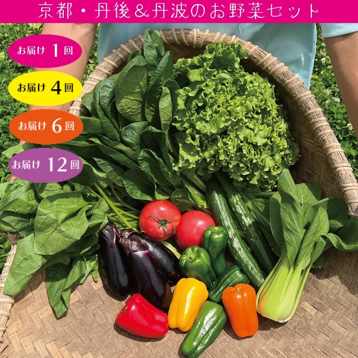 野菜詰め合わせ 有機野菜 ・ 京野菜 の『京都やおよし』京都 亀岡・京丹後産 定期便 オーガニック 有機栽培 農薬不使用 無農薬 減農薬 旬 新鮮 セット※着日指定不可 ※北海道・沖縄・離島への配送不可