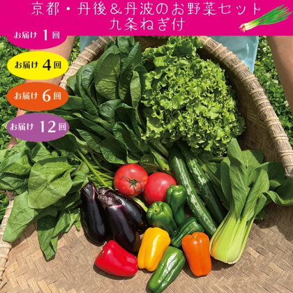 九条ねぎ & 野菜詰め合わせ 有機野菜 ・ 京野菜 の『京都やおよし』京都 亀岡・京丹後産 定期便 オーガニック 有機栽培 農薬不使用 無農薬 減農薬 旬 新鮮 セット※着日指定不可 ※北海道・沖縄・離島への配送不可