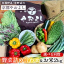 【ふるさと納税】野菜詰め合わせ & お米 2kg 有機野菜・京野菜の『京都やおよし』|野菜 米 京都産 オーガニック 有機JAS 農薬不使用 減農薬 野菜セット 野菜生活 ※北海道・沖縄・離島への配送不可 【1回 4回 6回 12回 選べる回数】亀岡市 京丹後市
