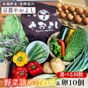 【ふるさと納税】野菜詰め合わせ & 卵 10個 有機野菜・京野菜の『京都やおよし』|野菜 玉子 たまご 京都産 オーガニック 有機JAS 農薬不使用 減農薬 野...
