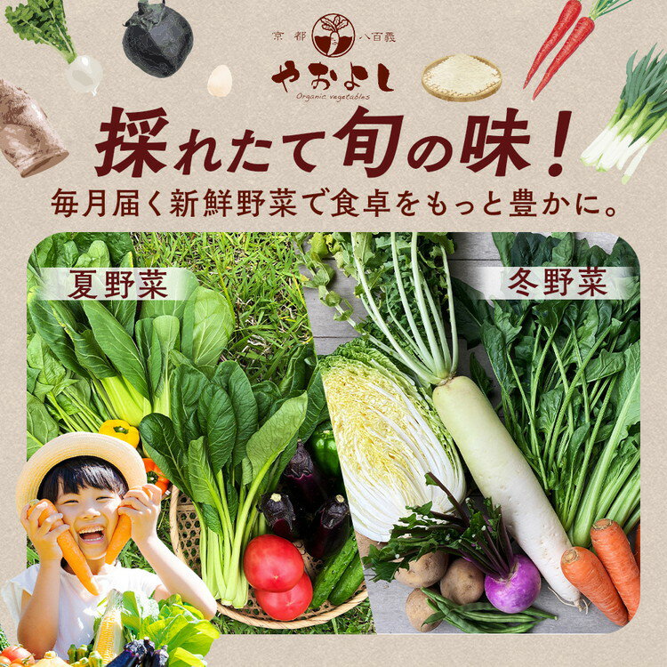 【ふるさと納税】【訳あり・生活応援】野菜詰め合わせ 有機野菜・京野菜の『京都やおよし』 お野菜 お野菜+米2kg お野菜+平飼卵10個 お野菜+牛乳600ml お野菜+牛乳1.8L ※北海道・沖縄・離島への配送不可 【1回 4回 6回 12回 選べる回数】【12/31まで 寄附額改定】