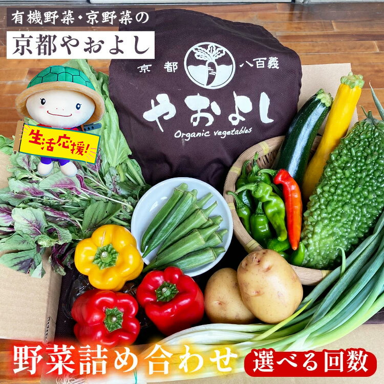 【ふるさと納税】【訳あり・生活応援】野菜詰め合わせ 有機野菜