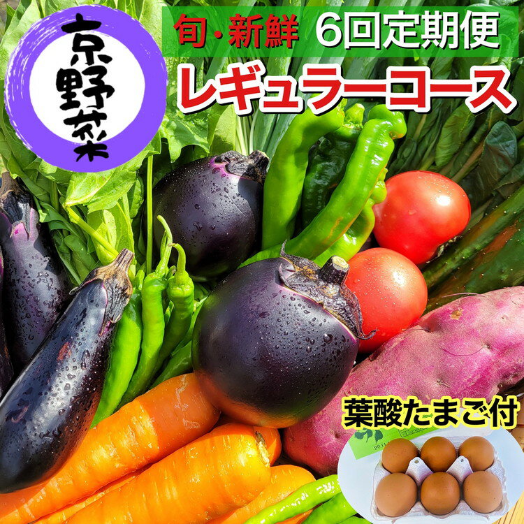 【ふるさと納税】【6回定期便】旬の京野菜　毎月お届けレギュラーコース（全6回）≪定期便 野菜 ふるさと納税野菜≫※沖縄・離島・諸島へのお届け不可☆月間MVPふるさと納税賞 第1号（2020年10月）・SDGs未来都市亀岡のサムネイル