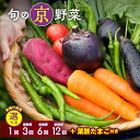 【ふるさと納税】旬の京野菜 レギュラーコース/スペシャルコース 選べるお届け回数 1回・3回・6回・12回 ≪定期便 京野菜セット 詰め合わせ ふるさと納税 野...