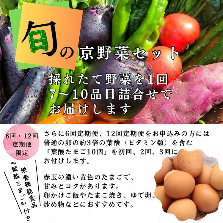 【ふるさと納税】旬の京野菜 スペシャルコース 選べるお届け回数 1回・3回・6回・12回≪定期便 定期 野菜 やさい 京都 京野菜 セット 詰め合わせ 減農薬 有機 有機栽培 有機野菜 旬 新鮮 冷蔵 直送 たまご 卵 ふるさと納税野菜≫※沖縄・離島・諸島へのお届け不可