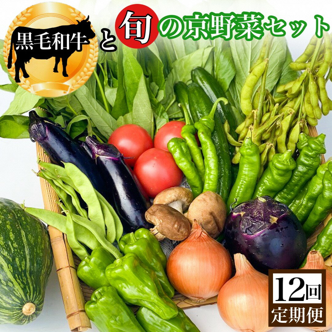 【ふるさと納税】【12回定期便】黒毛和牛 ＆ 旬の京野菜 詰合せ 毎月お届け・全12回コース≪定期便 野菜 やさい 京都 京野菜 丹波 和牛 牛肉 セット 詰め合わせ 減農薬 有機栽培 有機野菜 旬 新鮮 冷蔵 直送≫※沖縄・離島・諸島へのお届け不可