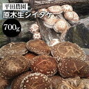 【ふるさと納税】【期間限定】原木生シイタケ 700g《平田農園》京都 亀岡産 原木栽培 生しいたけ 国産 肉厚 濃厚 料理 レシピ 栄養 農家直送 丹波 きのこ 椎茸 ※離島への配送不可 ※2026年3月下旬頃~4月上旬頃に順次発送予定