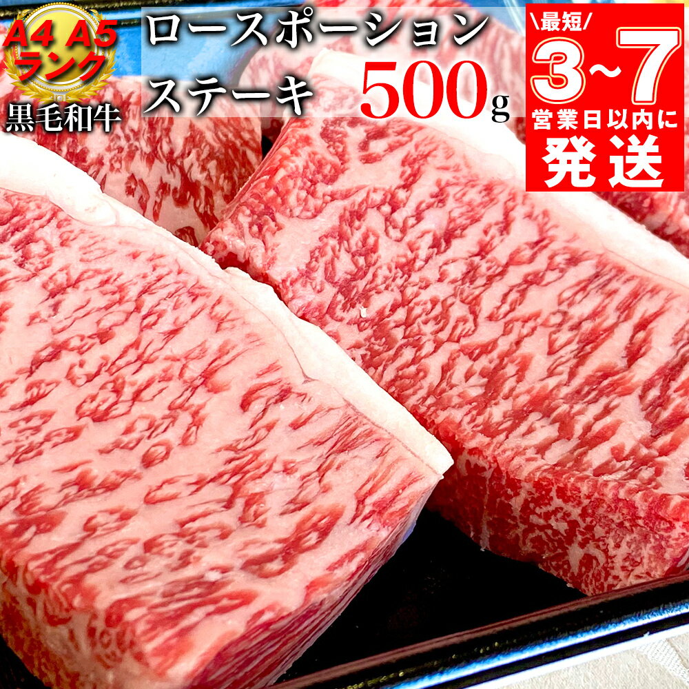 【ふるさと納税】【7営業日以内発送】京の肉 ひら山厳選 京都府産 黒毛和牛 ロース ポーション ステーキ 100g 5枚 計500g｜特選 A5・A4ランク 熟成肉 和牛 牛肉 京都肉 国産 丹波産 冷凍 ふる…