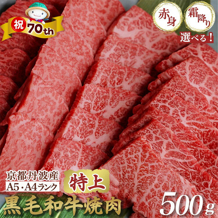 ڤդ뤵Ǽǡۡڻ70ǯǰۡڹɾ۵Իµ A5 þߤ١ A4A5 þֿȡ500g ϡ(250g2)  ٤...