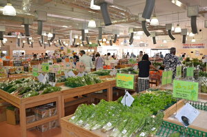 【ふるさと納税】発送時期が選べる 京都丹波・亀岡産野菜セット〈JA京都 ファーマーズマーケットたわわ朝霧〉≪発送月選択 ふるさと納税野菜≫楽天限定