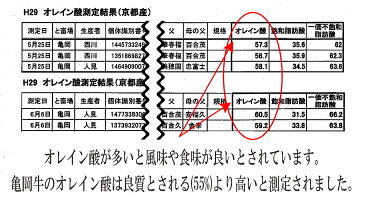 【ふるさと納税】＜亀岡牛専門店（有）木曽精肉店＞「亀岡牛すき焼き用」 500g※冷蔵・冷凍　選択できます ☆祝！亀岡牛生産者 最優秀賞受賞（2019年）