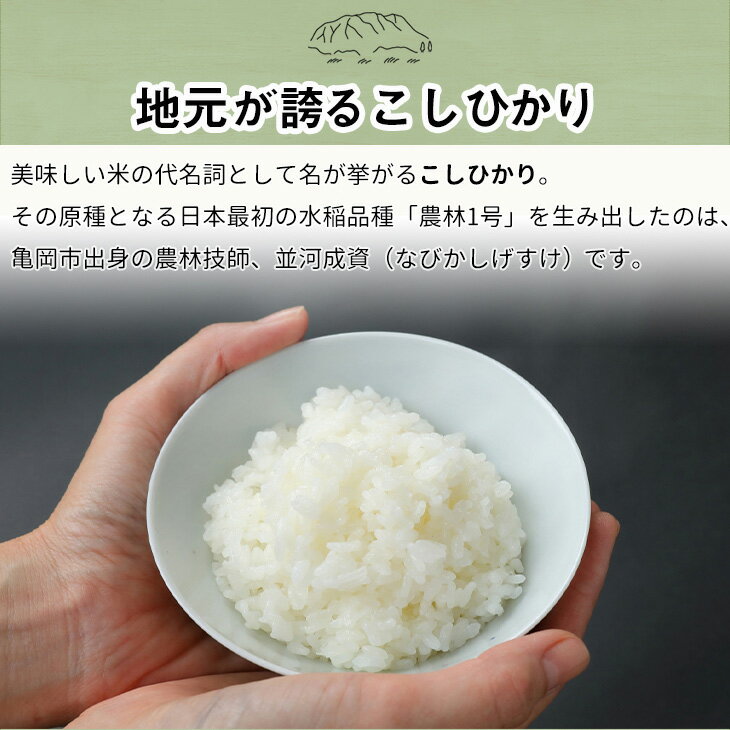 【ふるさと納税】【定期便】訳あり 京都丹波米こしひかり5kg×8回 計40kg 定期便 米 5kg 8ヶ月 白米 8回定期便 ※精米したてをお届け 《緊急支援 米・食味鑑定士 厳選 コシヒカリ 京都丹波産》 ※北海道・沖縄・離島の配送不可