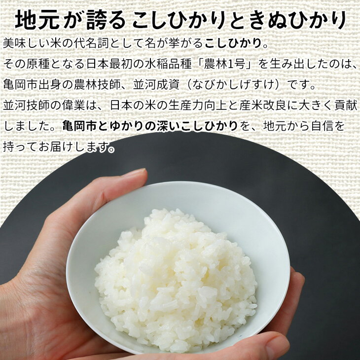 【ふるさと納税】訳あり 定期便 新米 10kg （こしひかり 5kg ・きぬひかり 5kg） × 3ヶ月 京都丹波米 白米 3回定期便 コシヒカリ・キヌヒカリ 各5kg ×3回 計30kg※精米したてをお届け《食べ比べ 緊急支援 米・食味鑑定士厳選》※北海道・沖縄・離島への配送不可