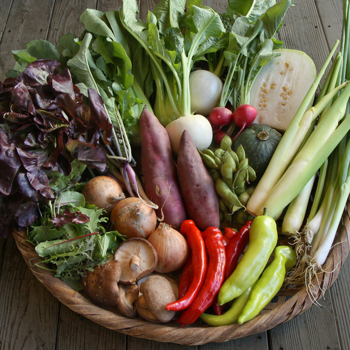 【ふるさと納税】＜坂ノ途中＞旬のお野菜セットL：5回お届け（毎週／隔週）※栽培期間中農薬・化学肥料不使用【定期便】《旬 季節》