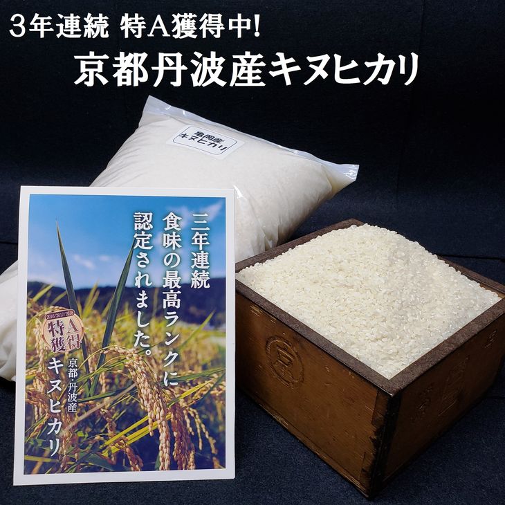 【ふるさと納税】＜JA京都 たわわ朝霧＞京都丹波・亀岡産キヌヒカリ 6kg 発送に合わせて精米 ☆京都丹波産キヌヒカリ 大嘗祭供納 3年連続特A獲得≪白米 6キロ 令和元年産・秋 令和2年産 2020年産 新米≫