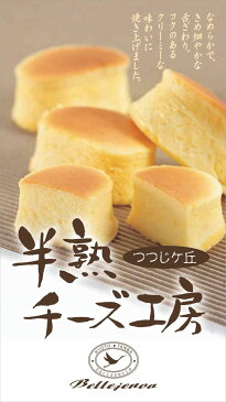 【ふるさと納税】<洋菓子館 ベルジェノア>つつじヶ丘半熟チーズ工房※2020年1月下旬頃より順次発送予定《チーズケーキ 半熟 濃厚 スフレ》