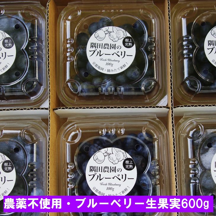 【ふるさと納税】【先行予約】＜すだ農園＞栽培期間中農薬不使用 朝摘み ブルーベリー 生果実 600g ≪果実 新鮮フルーツ≫ ※北海道・沖縄・離島への発送不可 ※2024年7月上旬～8月中旬頃に順次発送予定☆月間MVPふるさと納税賞 第1号（2020年10月）・SDGs未来都市亀岡