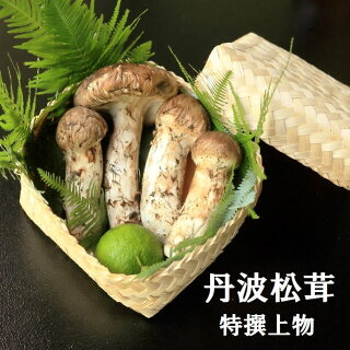 ふるさと納税松茸