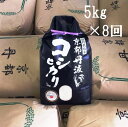 【ふるさと納税】【定期便】京都丹波米 こしひかり 定期便 40kg（5kg×8回）令和元年産米 ※精米したてをお届け※北海道・沖縄・離島への配送不可 ≪秋 味覚 旬 2019 新米≫