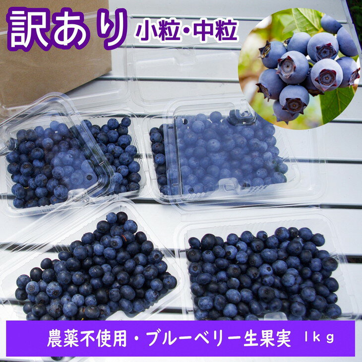 【ふるさと納税】【訳あり】＜すだ農園＞栽培期間中農薬不使用 朝摘み ブルーベリー 生果実【小粒～中粒等不揃い】1kg※8月～9月に順次発送《旬 果実 新鮮 フルーツ》※北海道・沖縄・離島への発送不可のサムネイル