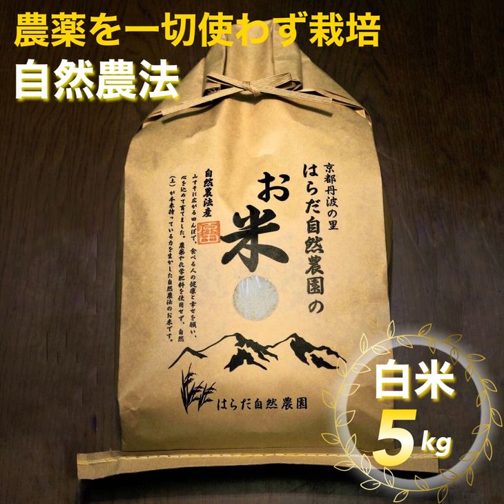 【ふるさと納税】自然農法＜農薬を一切使わず栽培＞白米5kg《令和3年 京都丹波産 新...