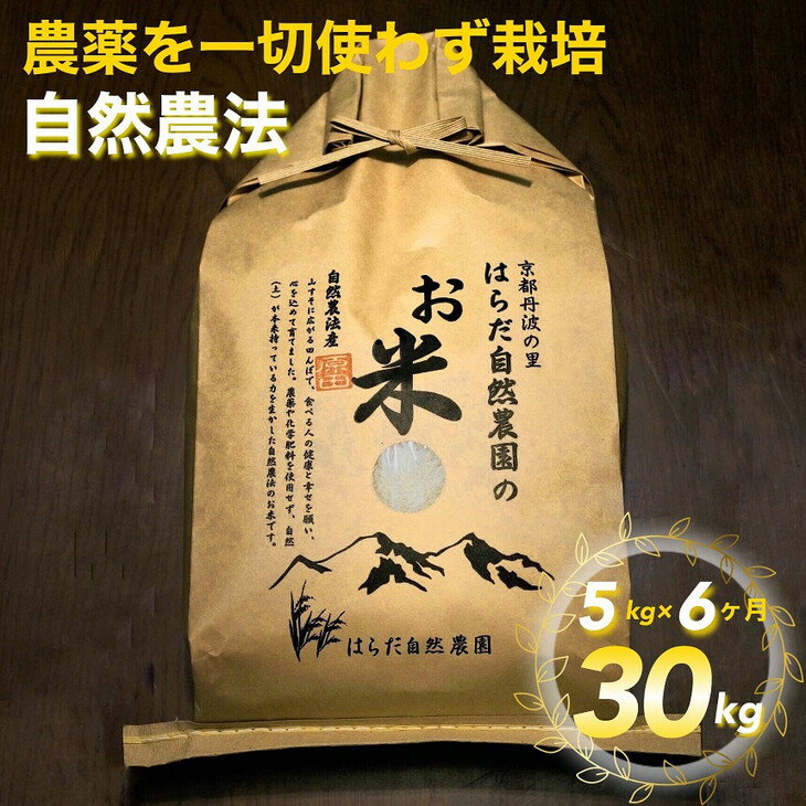 【ふるさと納税】【6回定期便】自然農法＜農薬を一切使わず栽培＞白米5kg×6回（月1回）（精米したて）≪令和3年 京都丹波産 無農薬米栽培向き 厳選品種 にこまる≫☆月間MVPふるさと納税賞 第1号（2020年10月）・SDGs未来都市亀岡