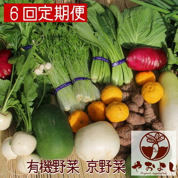 【ふるさと納税】【6回定期便】<有機野菜 京野菜の京都やおよし> 野菜詰め合わせ セット 半年間 毎月お届け 朝堀 京たけのこ 付き(3〜5月のうち1回)《オーガニック 有機JAS 農薬不使用 減農薬》※北海道・沖縄・離島への配送不可