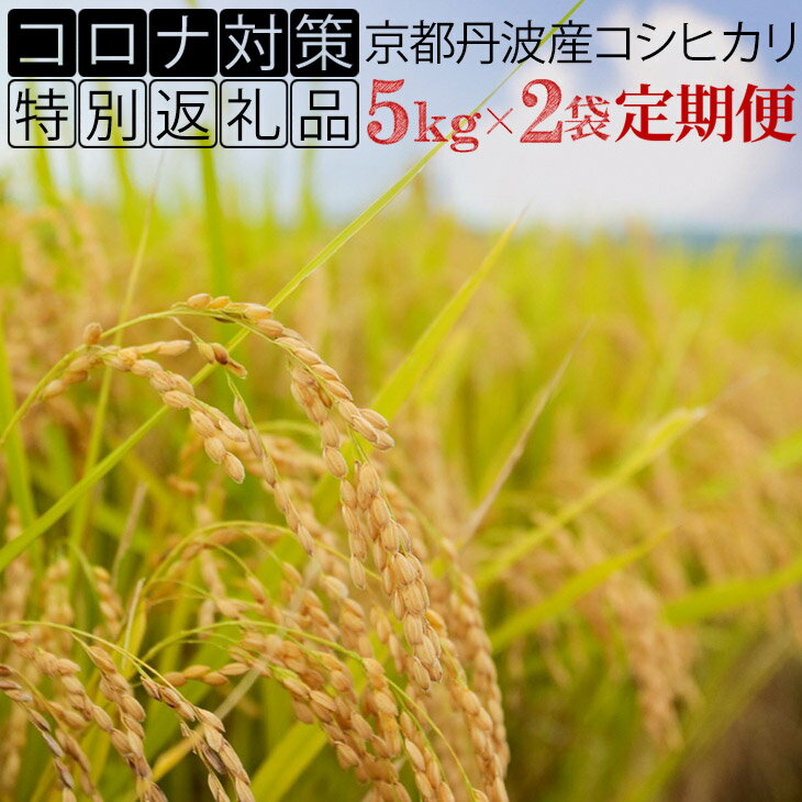 【ふるさと納税】【緊急支援品】【12回定期便】＜JA京都 たわわ朝霧＞京都丹波・亀岡産コシヒカリ 12ヶ月定期便 計120kg［10kg（5kg×2袋）×12回］毎月発送に合わせて精米してお届け ☆コシヒカリ発祥のルーツ・亀岡よりお届け≪新米 白米 2020年産 訳あり≫