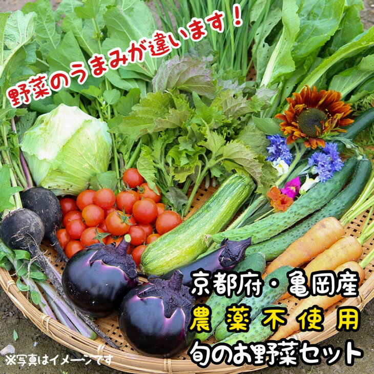 【ふるさと納税】京都府・亀岡産 無農薬・自然栽培で育てた体も心も喜ぶ、かたもとオーガニックファームの季節のお野菜セット 10〜20品目 発送月選択 発送時期が選べる≪産地直送 朝採れ 新鮮 京野菜≫☆月間MVPふるさと納税賞 第1号（2020年10月）・SDGs未来都市亀岡