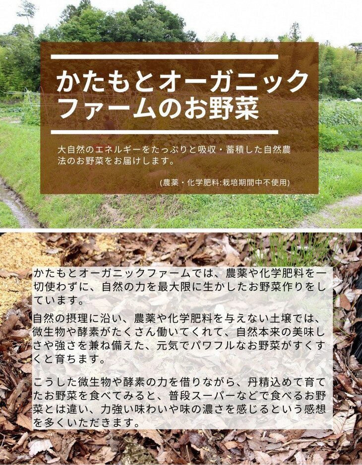 【ふるさと納税】京都府・亀岡産 無農薬・自然栽培で育てた体も心も喜ぶ、かたもとオーガニックファームの季節のお野菜セット 10〜20品目 発送月選択 発送時期が選べる≪産地直送 朝採れ 新鮮 京野菜≫☆月間MVPふるさと納税賞 第1号（2020年10月）・SDGs未来都市亀岡