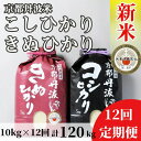 【ふるさと納税】【12回定期便】京都丹波米 こしひかり5kg