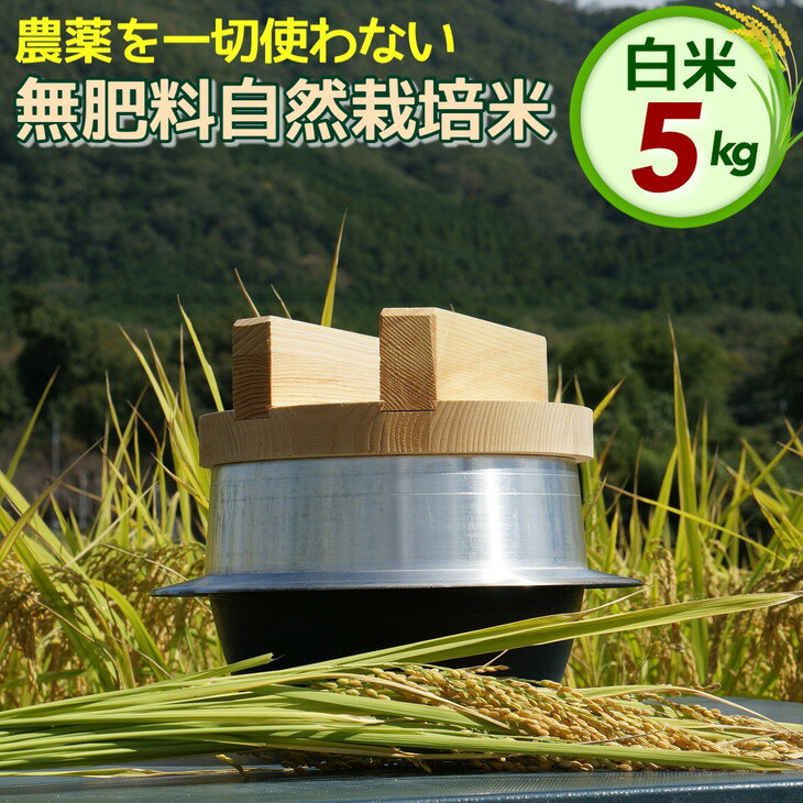 23位! 口コミ数「1件」評価「5」【米 令和5年産】自然栽培米 にこまる ＜農薬を一切使わない無肥料栽培＞ 白米 5kg（精米したて）《2023年産 京都丹波産 無農薬米栽培･･･ 