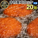 【ふるさと納税】京都嵐山のお肉屋さん中村屋総本店の名物コロッケ2パック 1パック10個入を2パック ≪ 京の肉 老舗 冷凍≫ ☆月間MVPふるさと納税賞 第1号 2020年10月 ・SDGs未来都市亀岡