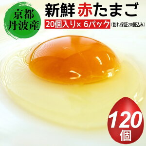 【ふるさと納税】新鮮 卵 京都・丹波の赤たまご 100個＋割れ保証20個 計120個 《生卵 たまご 鶏卵 小分け 贈答 ギフト》◇☆月間MVPふるさと納税賞 第1号（2020年10月）・SDGs未来都市亀岡