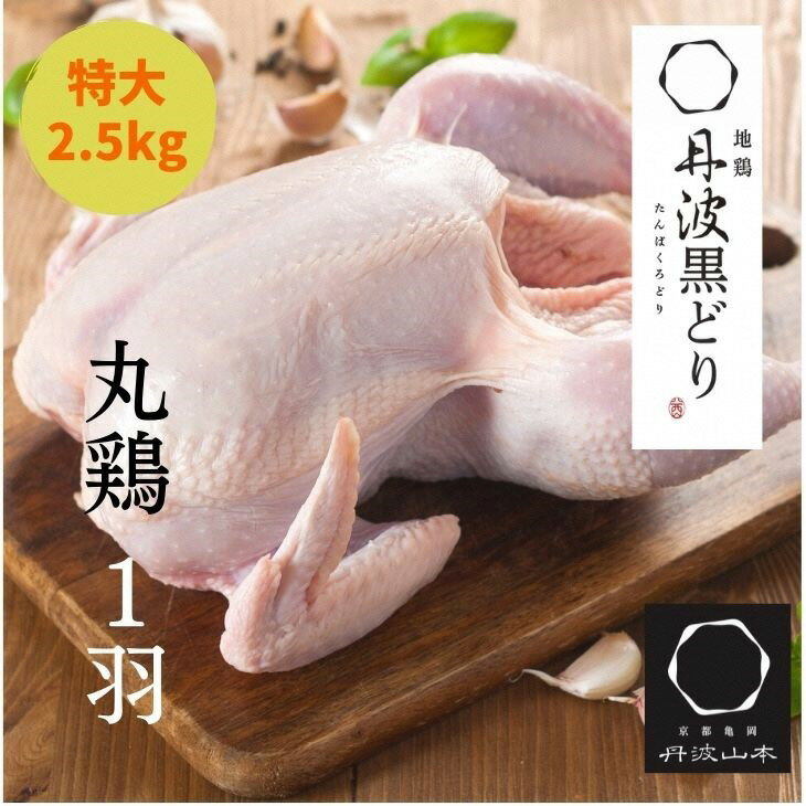 【ふるさと納税】訳あり 地鶏 丹波黒どり 丸どり 中抜き 丸1羽 約2.5kg＜京都亀岡丹波山本＞業務用 特..