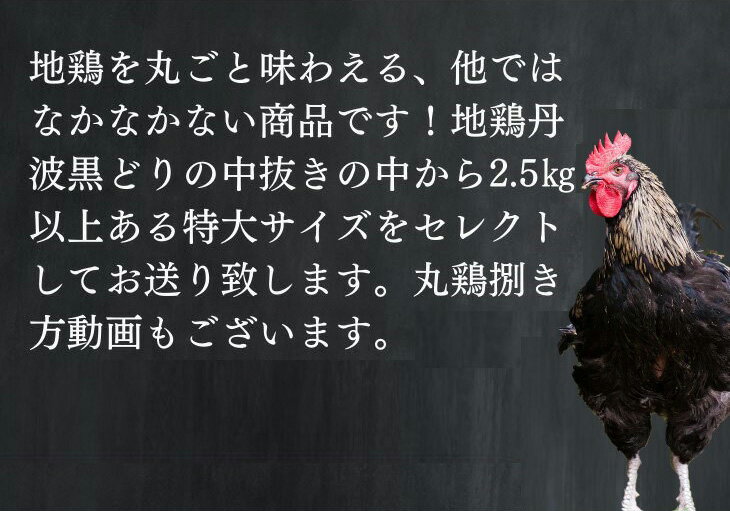 【ふるさと納税】訳あり 地鶏 丹波黒どり 丸どり 中抜き 丸1羽 約2.5kg＜京都亀岡丹波山本＞業務用 特大サイズ《緊急支援 特別返礼品 鶏肉 丸ごと 1羽 不揃い》◇☆月間MVPふるさと納税賞 第1号（2020年10月）・SDGs未来都市亀岡