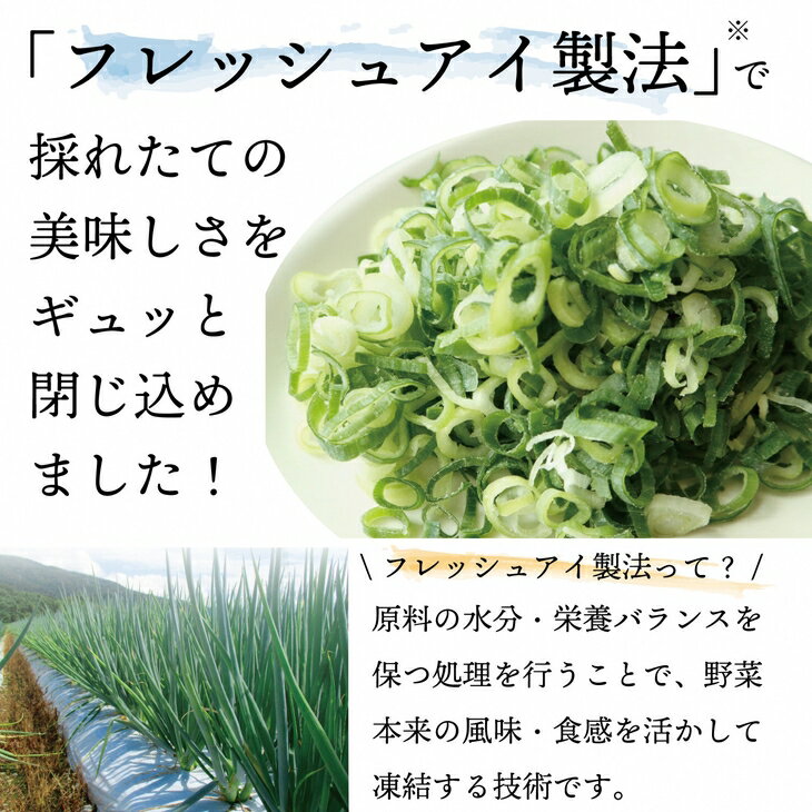 【ふるさと納税】＜こと京都＞ きざみ 九条ねぎ【冷凍・カップ】1.2kg （50g×24p) 《京都 伝統野菜 ネギ 使い切り 小分け ミニ 紙カップ》※離島への配送不可☆月間MVPふるさと納税賞 第1号（2020年10月）・SDGs未来都市亀岡