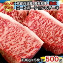 【ふるさと納税】京の肉 ひら山厳選 京都府産 黒毛和牛 ロース ポーション ステーキ 100g 5枚 計500g《特選 A5・A4ランク 熟成肉 和牛 牛肉 京都肉 国産 丹波産 冷凍》 ふるさと納税牛肉