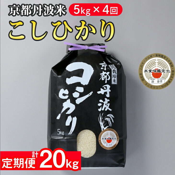 【ふるさと納税】訳あり 京都丹波米こしひかり5kg×4回 計20kg 定期便 4回定期便 新米 白米 5kg 4ヶ月※精米したてをお届け《緊急支援 米・食味鑑定士 厳選 コシヒカリ 京都丹波産》※北海道・沖縄・離島への配送不可