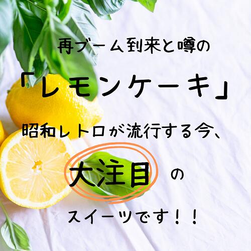 【ふるさと納税】なつかしの レモンケーキ20個セット「楽天レモンケーキランキング1位獲得！」☆月間MVPふるさと納税賞 第1号（2020年10月）・SDGs未来都市亀岡