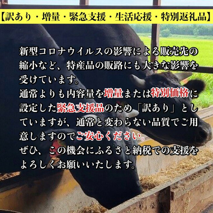 【ふるさと納税】【緊急支援】丹波亀岡 京の肉 ひら山厳選 京都府産黒毛和牛(A4,A5) 焼肉 用 500g＋100g増量 【計600g】≪和牛 牛肉 亀岡牛 京都肉 国産 京都 丹波産≫☆月間MVPふるさと納税賞 第1号（2020年10月）・SDGs未来都市亀岡