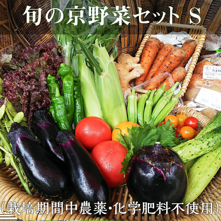 2400円 1周年記念イベントが 季節の野菜おたのしみセット