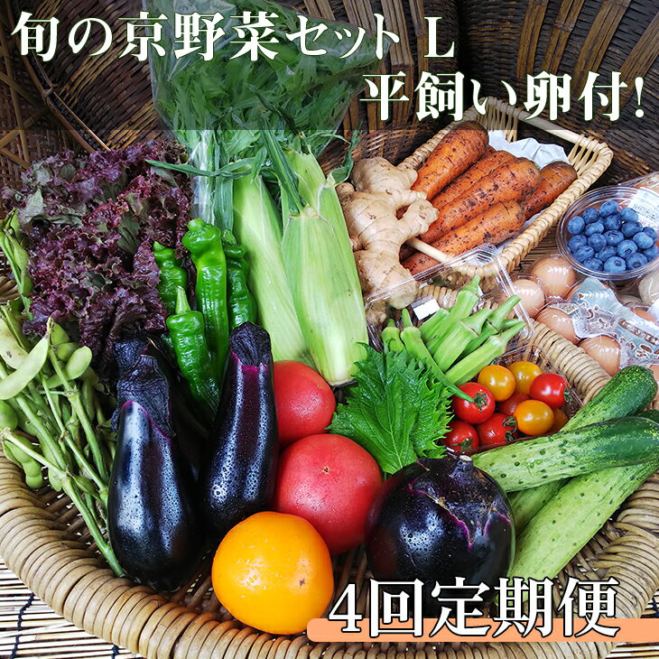 【ふるさと納税】【4回定期便】＜アスカ有機農園＞旬の京野菜セ