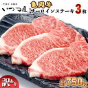 【ふるさと納税】【緊急支援品】「京都いづつ屋厳選」 亀岡牛 サーロインステーキ 250g×3枚 【計750g】≪訳あり コロナ支援 和牛 牛肉 冷凍≫ふるさと納税 ステーキ ふるさと納税牛肉☆月間MVPふるさと納税賞 第1号（2020年10月）・SDGs未来都市亀岡